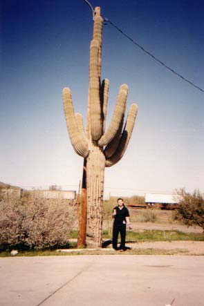[Somewhere in Arizona] Suzi stood next to this big ass cactus.